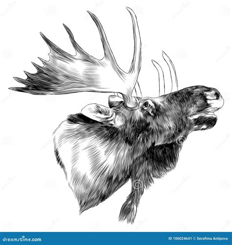 Elk Cartoons Illustrations And Vector Stock Images 20093 Pictures To