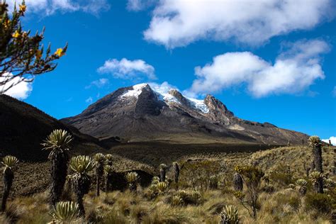 Los Nevados National Park Expats Travel Together