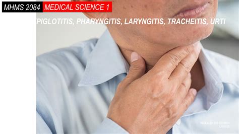 Solution Epiglotitis Pharyngitis Laryngitis Tracheitis Urti Studypool