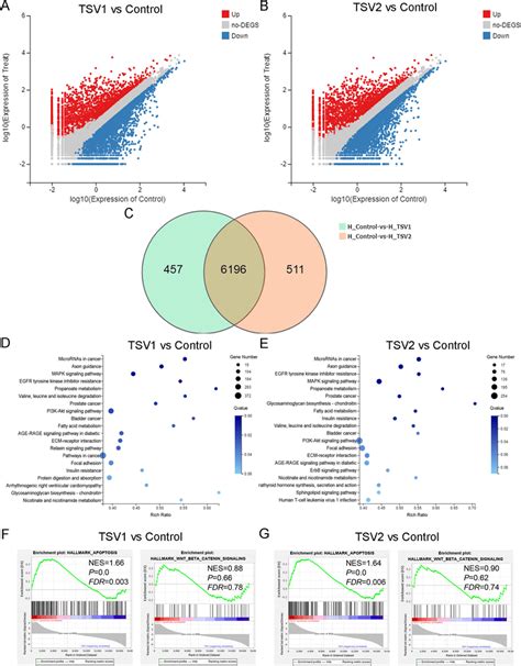 Rna Seq Analysis Of The Tsv Or Tsv Overexpression Group Versus The