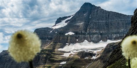 How to See a Glacier - Glacier National Park (U.S. National Park Service)