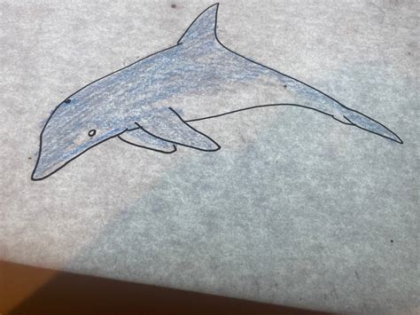 Bottlenose dolphin by johnolivertodd on DeviantArt