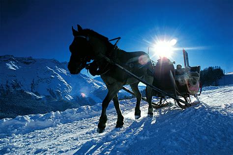 Kutschenfahrten Samedan Winter In Engadin St Moritz