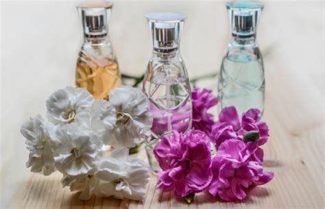 Recettes Pour Faire Sa Propre Eau De Cologne Ultra Fra Che