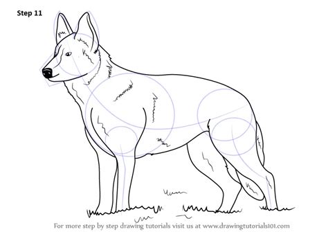 Learn How to Draw German Shepherd Dog (Farm Animals) Step by Step ...