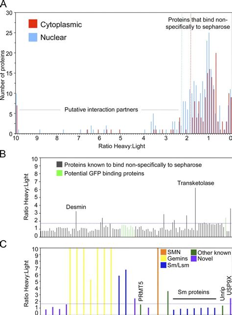 Systematic Analysis Of Silac Datasets Quantitative Mass Spectrometric