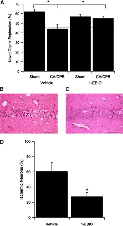 Pharmacological Enhancement Of SK Channel Activity Improves Long Term