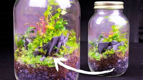 25 Easy Terrarium in a Jar Ideas to Make - DIY Crafts