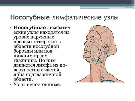 Лимфаденит - презентация онлайн