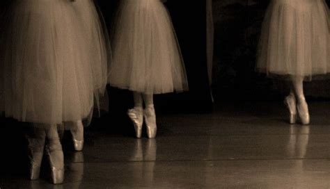 Pin by Vekkinus art on Pins criados por você Ballet Swan lake