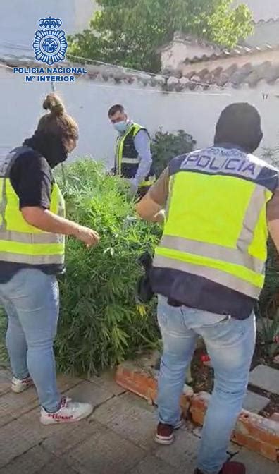 La Policía Nacional Desmantela Un Importante Punto De Venta De Estupefacientes En Valdepeñas