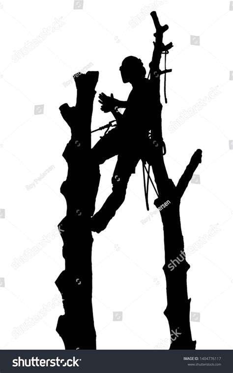 Silhouette Vector Tree Surgeon Arborist Roped Stock Vector Royalty