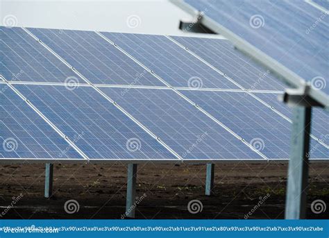 Ecological Green Energy Solar Panels Plant Mounted On The Ground Stock