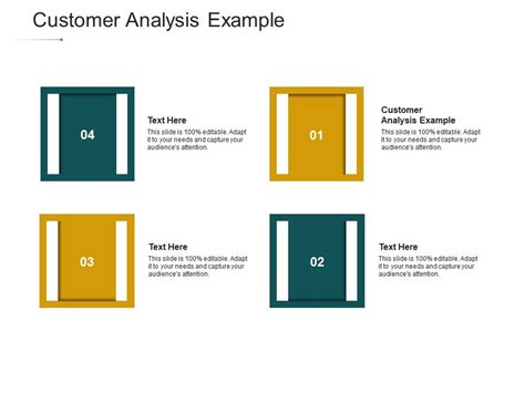 Customer Analysis Example Ppt Powerpoint Presentation Inspiration Clipart Images Cpb