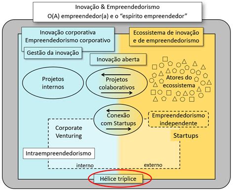 H Lice Tr Plice Triple Helix Flexible Methodology Innovation