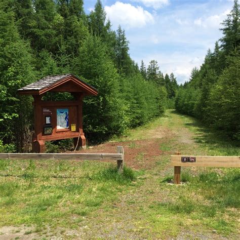 magalloway river trail trail finder