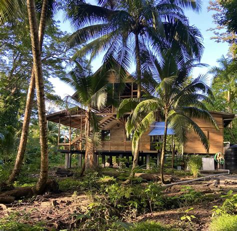 Conservation & Coral Monitoring | Volunteer in Panama 2025