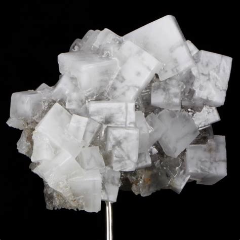 Halitkristall auf Holzsockel montiert