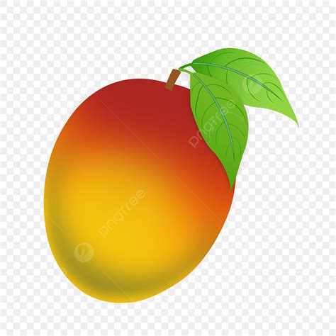 Of A Mango Clipart PNG Images, Mango Vector, Mango Clipart, Mango ...