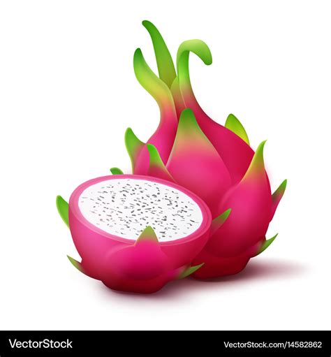 Whole And Sliced Dragon Fruit Royalty Free Vector Image