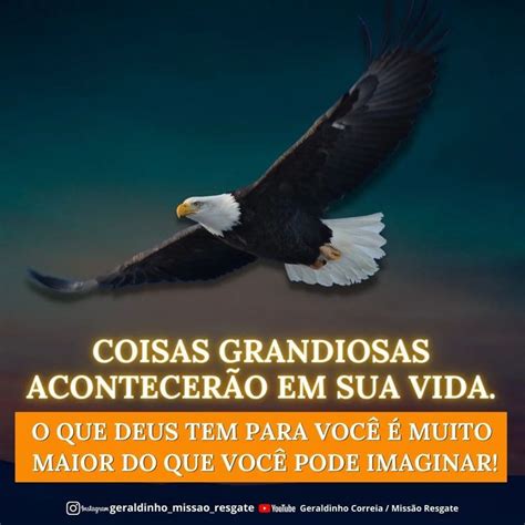 Pin By Expedito Anderson On Frases E Fotos Bonitas Bald Eagle Balding