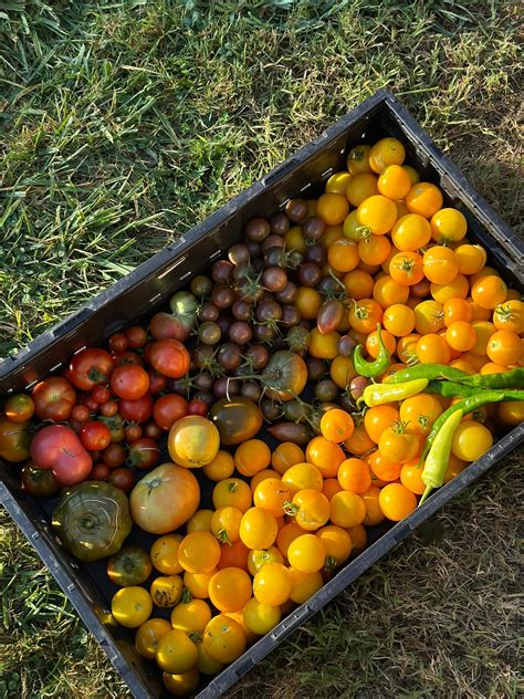 toledo cars for sale 8