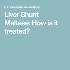 27 Liver Shunt diet for dogs ideas | liver, diet, dog food recipes