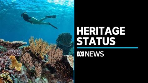 Great Barrier Reef Still In Danger Despite Unesco Reprieve Abc News