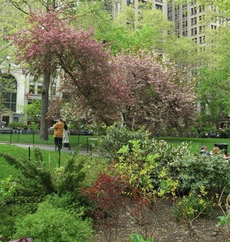 Madison Square Park Images Nyc Parks