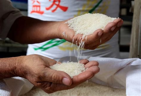 Vietnam S Rice Exports Expected To Have Positive Result In H