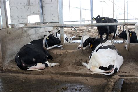 Innowacyjny Farmer Przemy Lane Rozwi Zania W Zoptymalizowanym