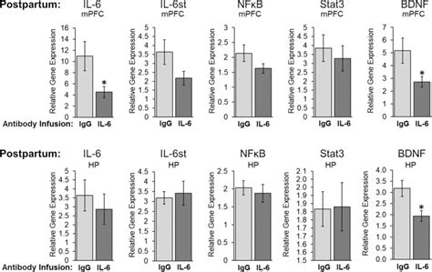 Analysis Of Relative Gene Expression In The Medial Prefrontal Cortex