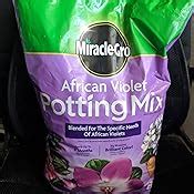 Amazon Miracle Gro African Violet Potting Mix Qt Soil And