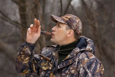 9 Crow Hunting Tips Beginners And Seasoned Hunters Should Know