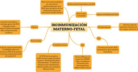 Portafolio electrónico ginecología ISOINMUNIZACIÓN MATERNO FETAL