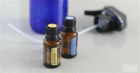 Easy DIY Natural Spider Repellent - Fabulessly Frugal