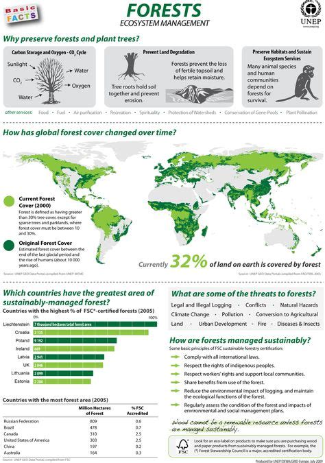 15 Forest Infographics Ideas Infographic Forest Ecology