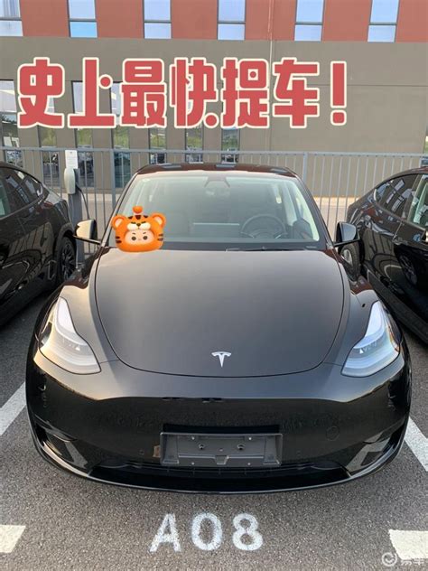 喜提新车特斯拉model Y Model Y社区 易车社区