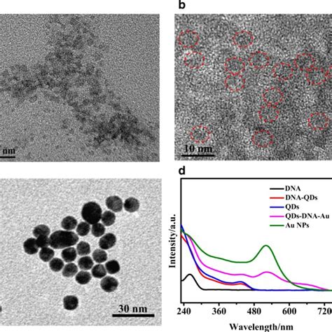 A Tem Image Of The Cdse Qds B Hrtem Image Of The Cdse Qds C Tem