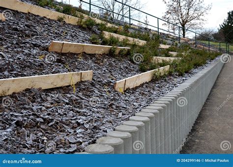 Slope Stabilization By Vegetation Planting Of Shrubs So That The Mulch