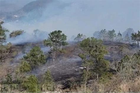 Se registra incendio forestal en el pulmón de Copán