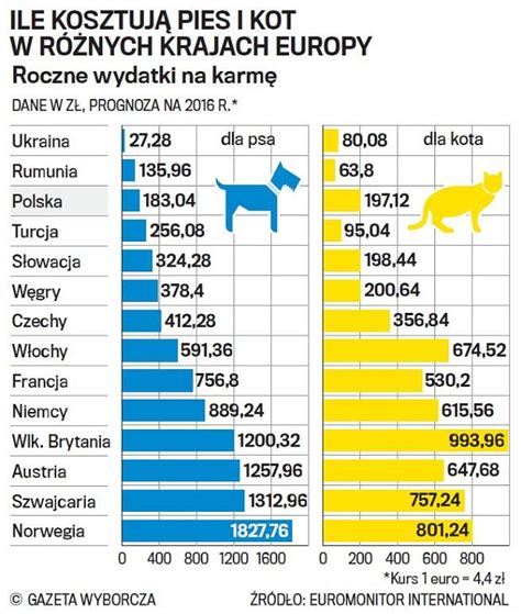 Co Jest Tansze W Utrzymaniu Kot Czy Pies Fundacja Dla Koci T