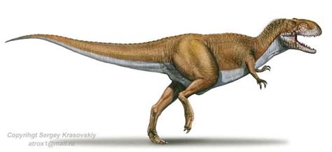 Rajasaurus