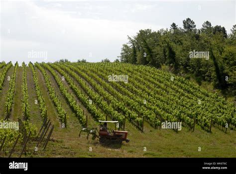 tractor  farmer  vineyard stock photo alamy