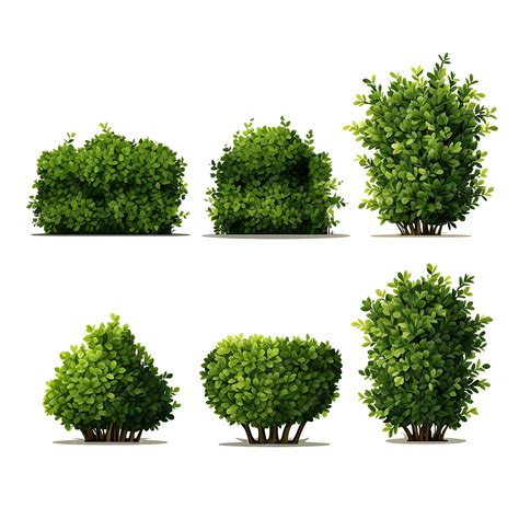 Premium AI Image | A Set of Boxwood Hedges Trimmed Into Rectangular ...