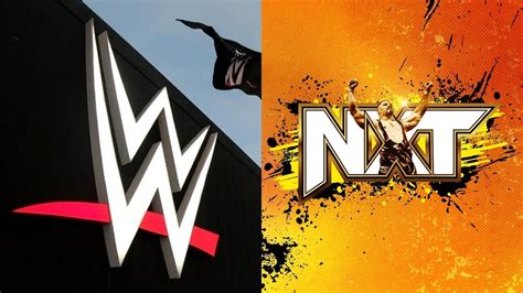 update  wwes plan   nxt talent  main roster reports