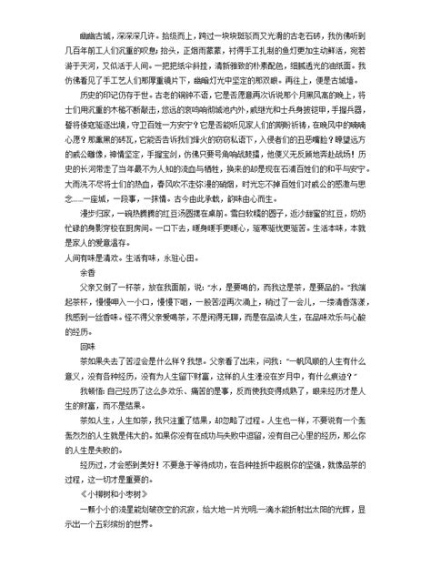 主题06 关于美好类 2023年中考语文考场作文高频主题范文优选 教习网课件下载