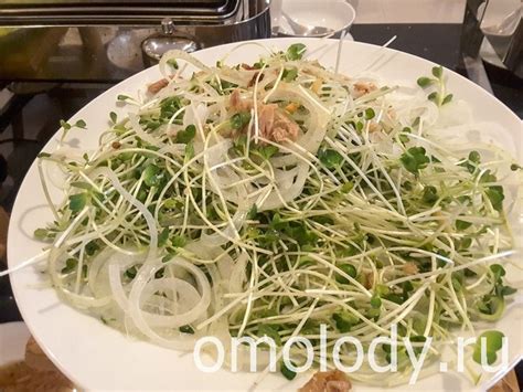 Пин на доске Блюда из дикорастущих. Wild plants recipes.