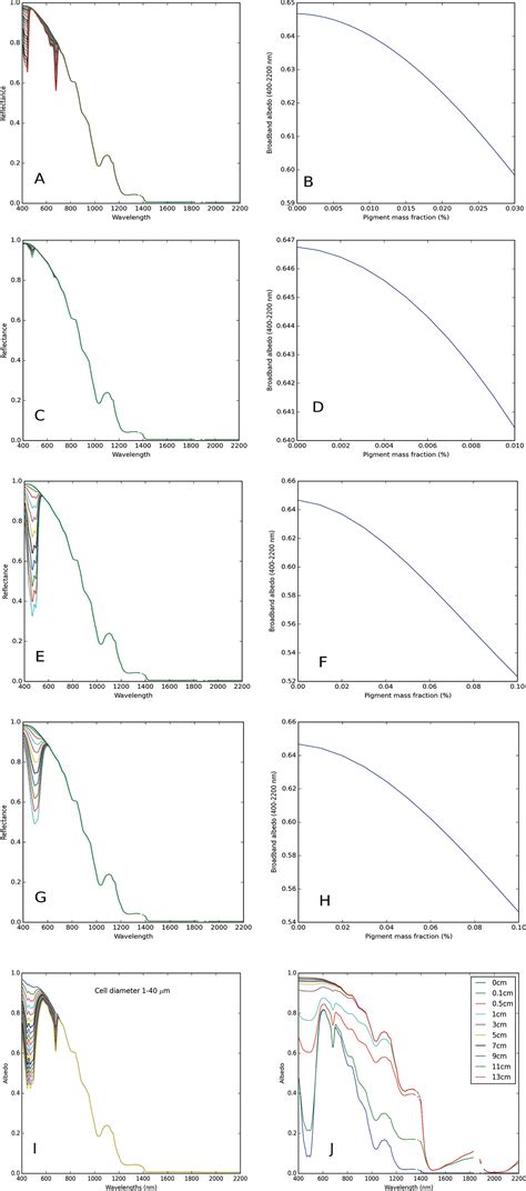 A Predictive Model For The Spectral Bioalbedo Of Snow Cook 2017