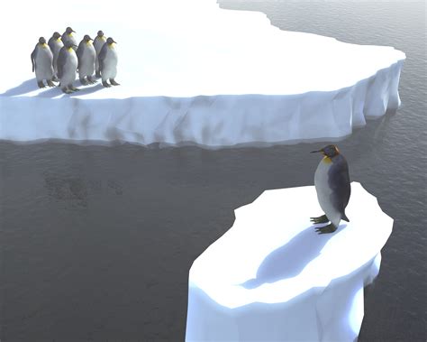 Lessons on Change from a Penguin Colony | icma.org